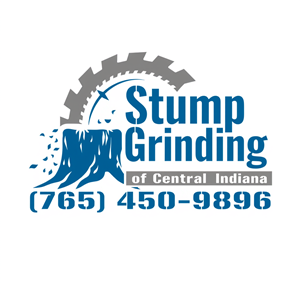 Logo Design by AMBStudio for this project | Design: #34922241