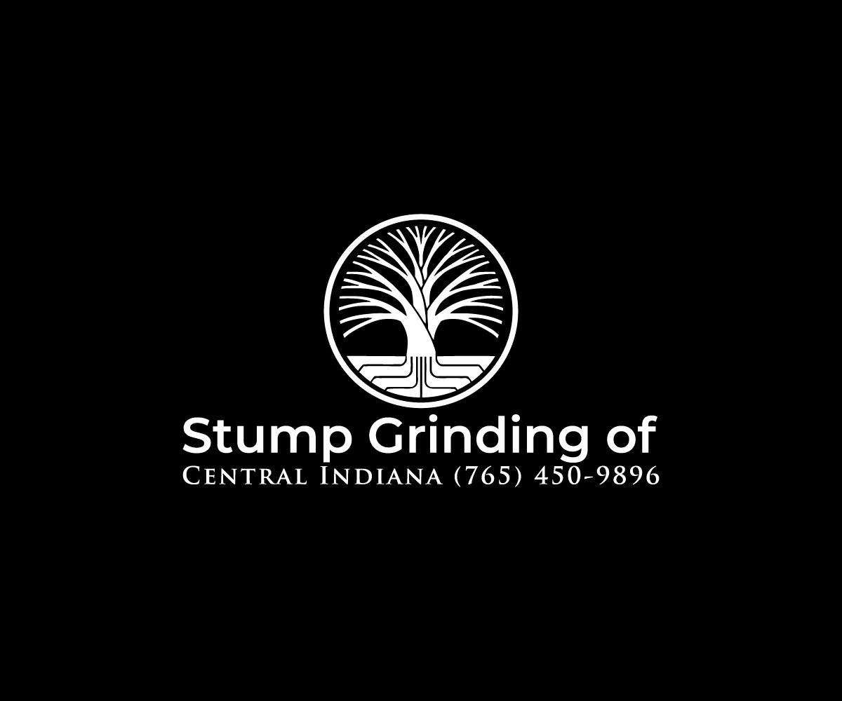 Logo Design by Spark  Design for this project | Design #34924086