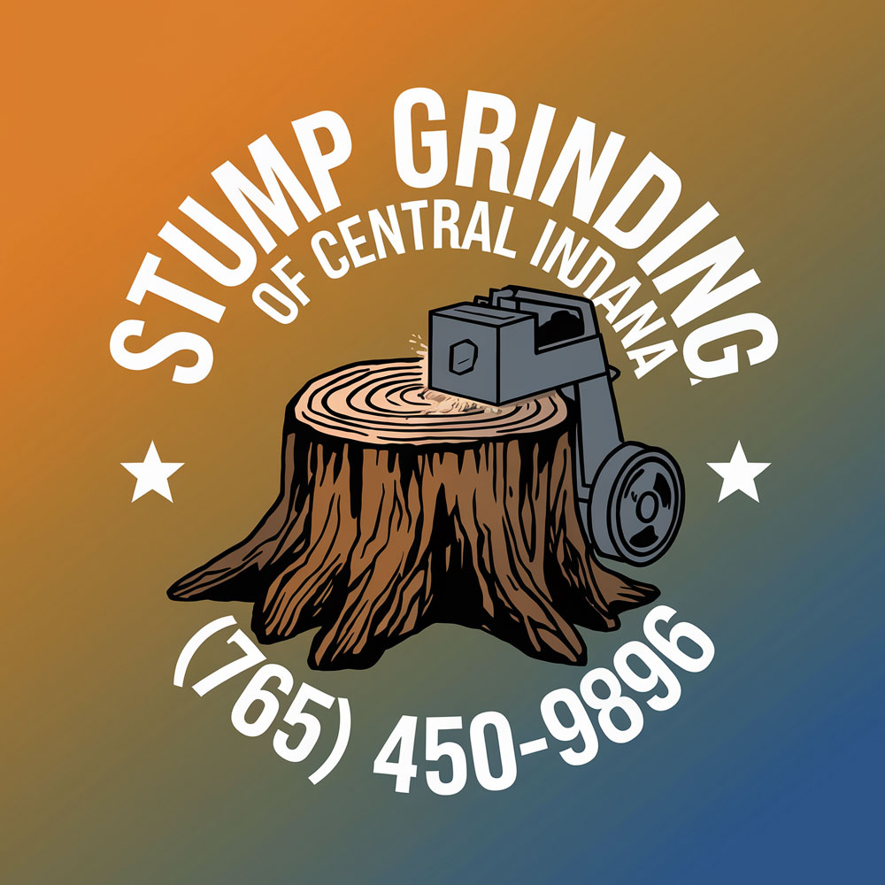 Diseño de Logo por DesignVerse777 para este proyecto | Diseño #34923233