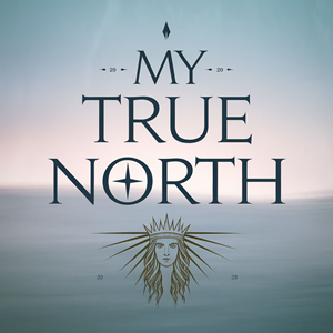 Logo Design by DesignVerse777 for this project | Design: #34943071