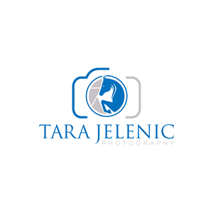 Logo Design by Veridian-studio