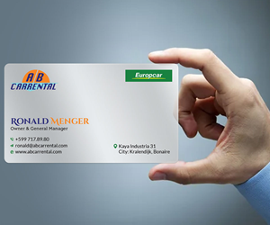 Business Card Design by rainbowmagic2017 for AB Dive | Design #34936224