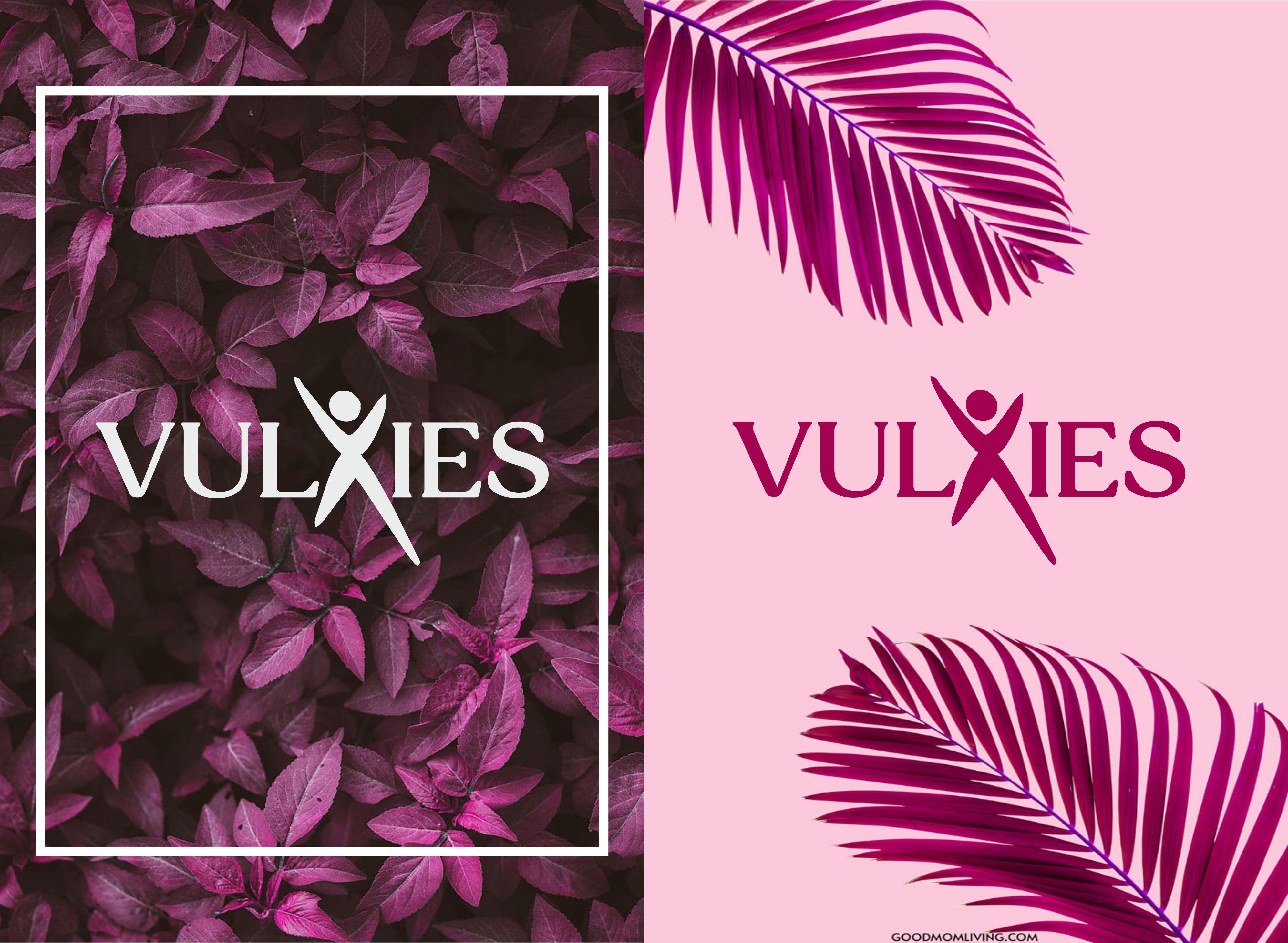 Logo Design by Gentleman89 for Vulxies | Design #34968340