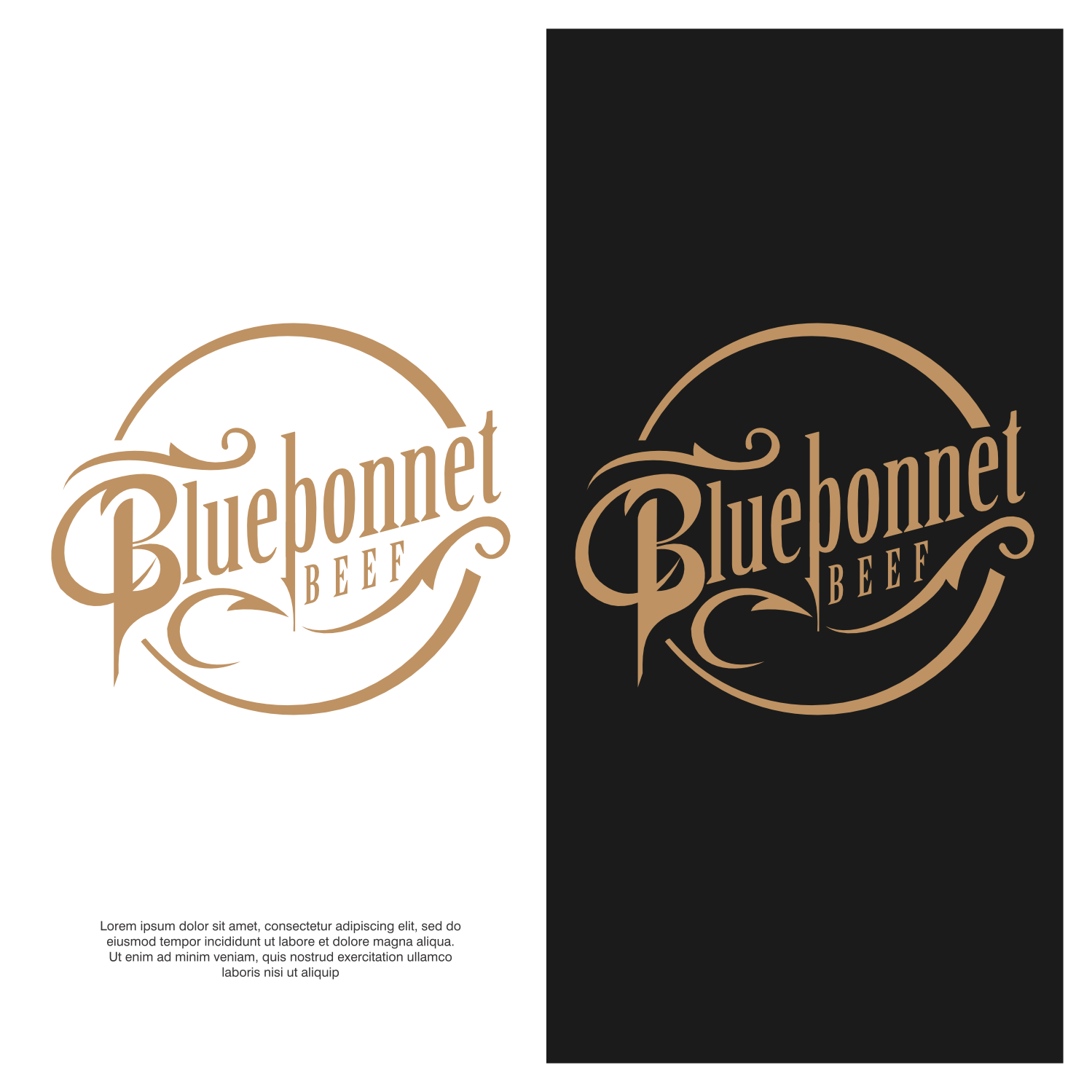 Diseño de Logo por ThiagoB para este proyecto | Diseño #34952725