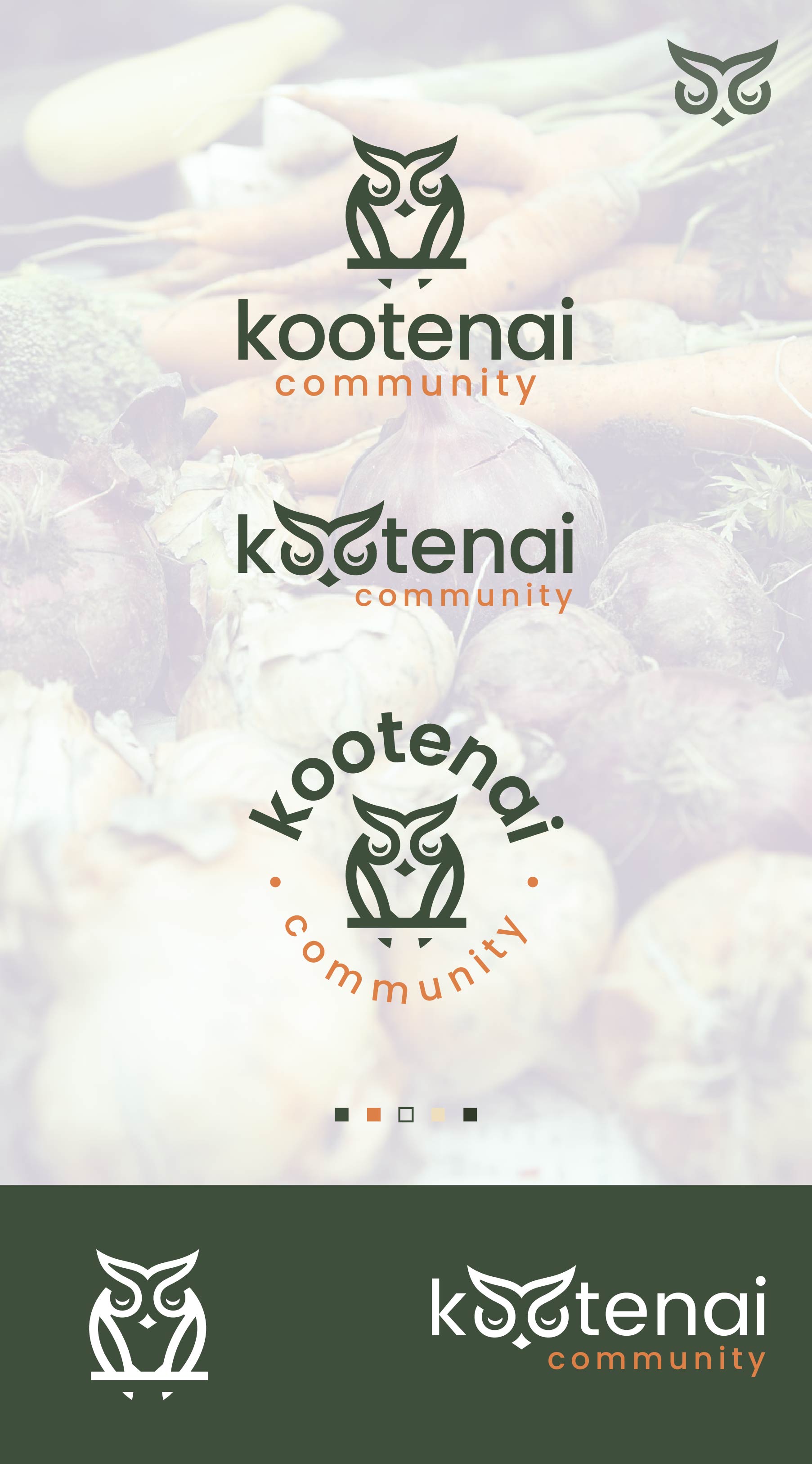 Logo Design by Nash_Shaha for this project | Design #34971166