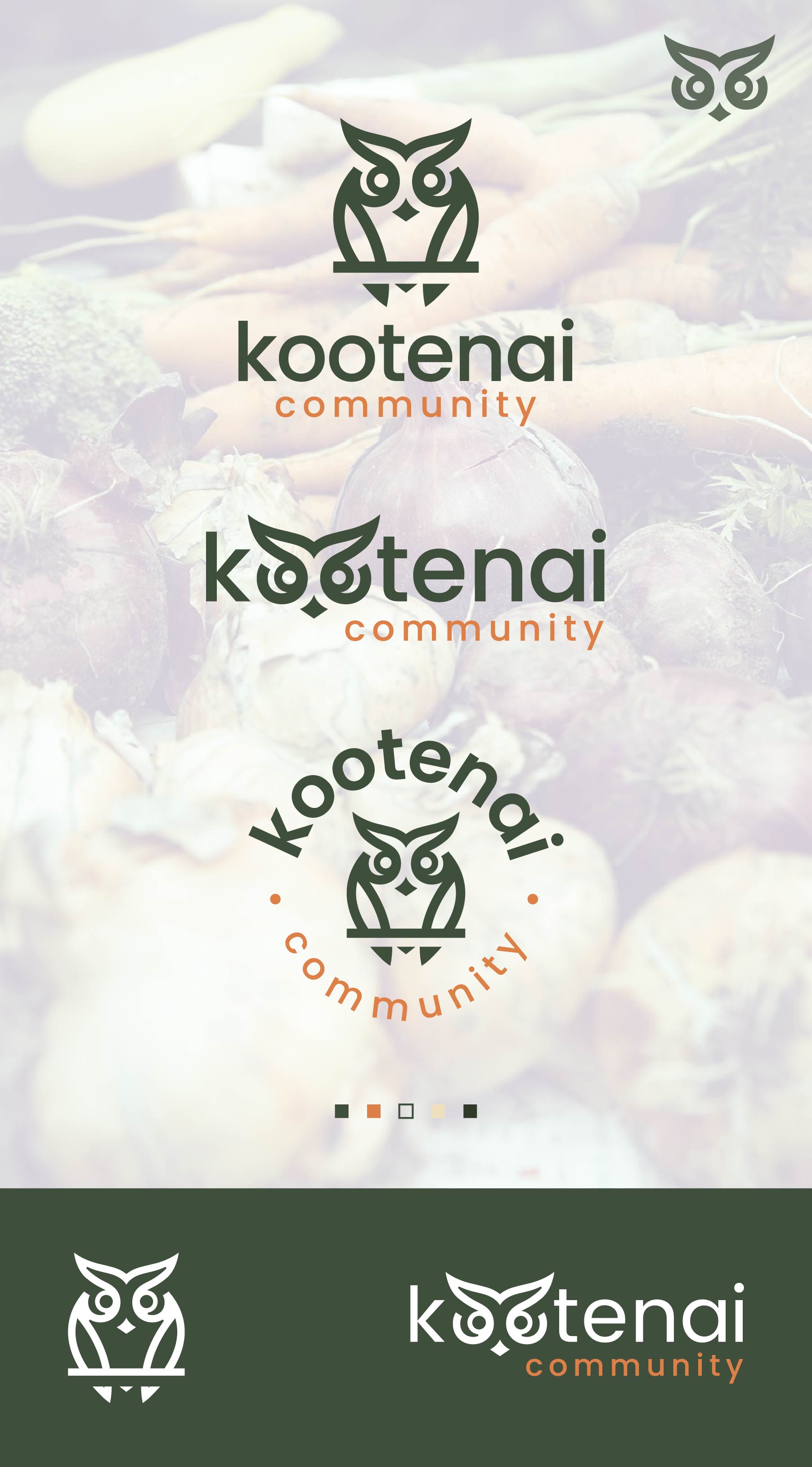 Logo Design by Nash_Shaha for this project | Design #34971271