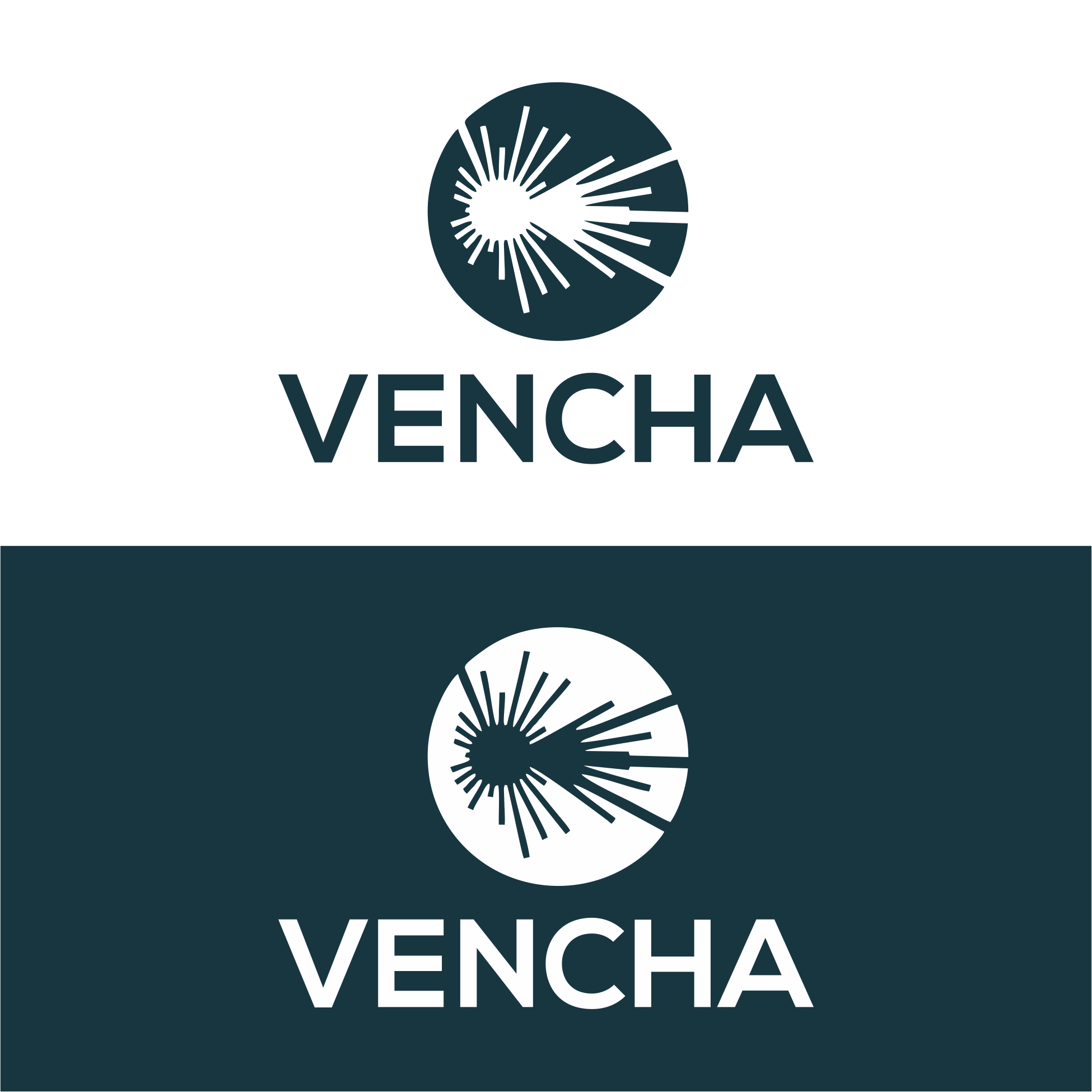 Diseño de Logo por diego costa para este proyecto | Diseño #34969247