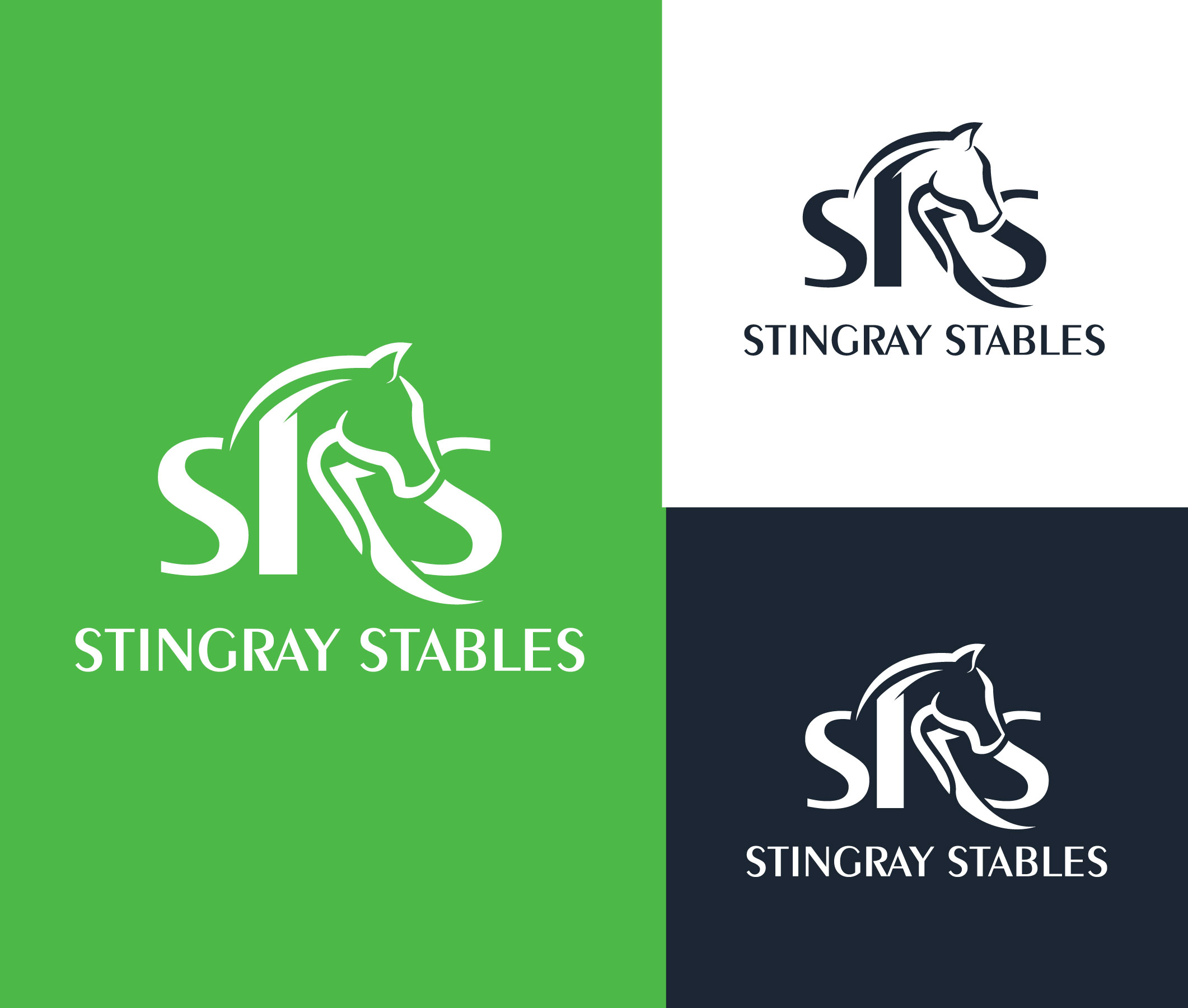 Logo Design by StromDesignHub for this project | Design #34978053