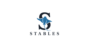 Logo Design by HSL Brain