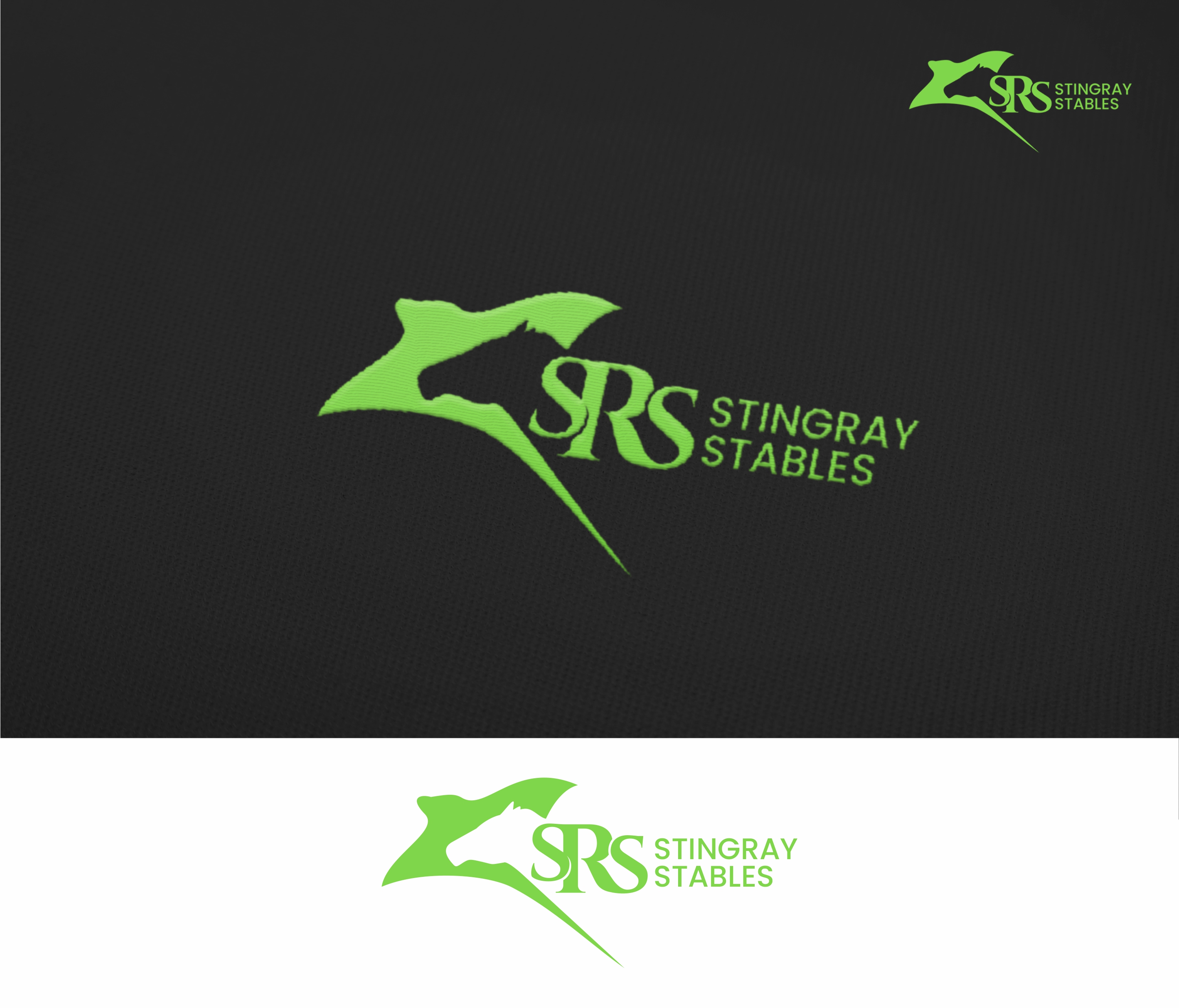 Logo Design by aquabomb26 for this project | Design #34975863