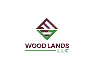 Design de Logo par holyvi pour Forest lake | Design : #34976668