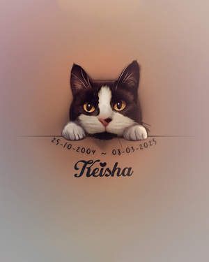 Cat Memorial Tattoo - Design Ideas