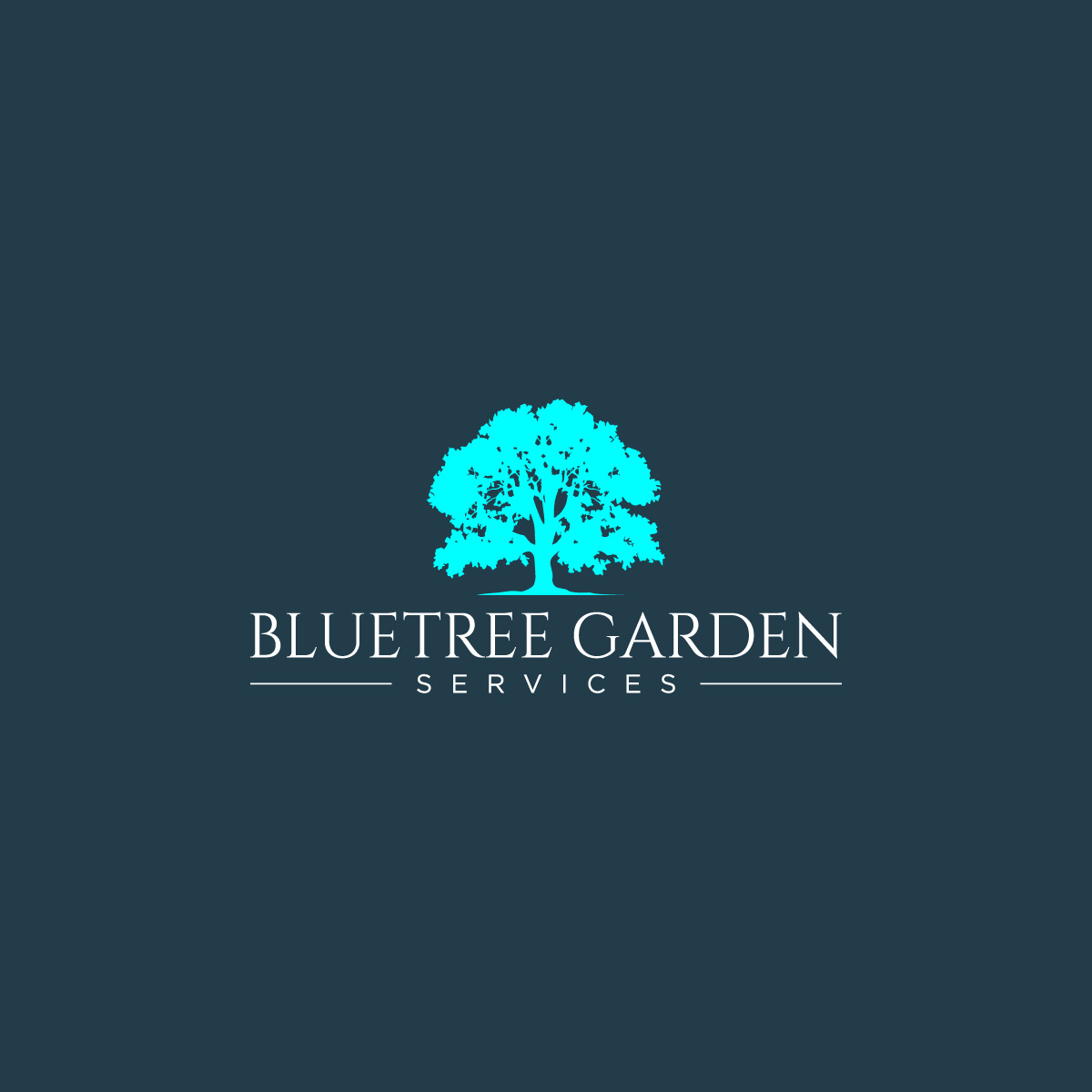 Logo Design by Barish Design for this project | Design #34988323