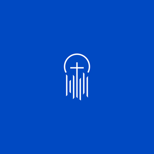Logo Design by Mive Agency