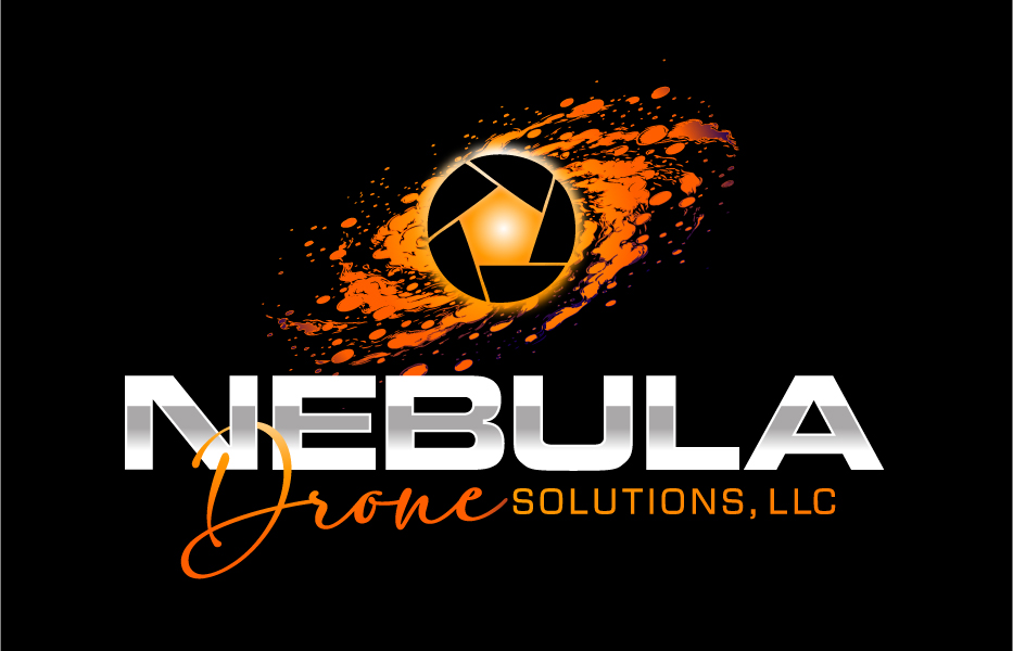 Diseño de Logo por Dream Logo Design para LONE STAR DRONE WORX | Diseño #35019024
