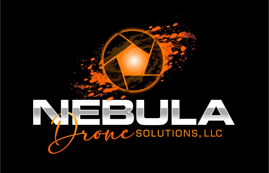 Logo Design by Dream Logo Design for LONE STAR DRONE WORX | Design #35019025