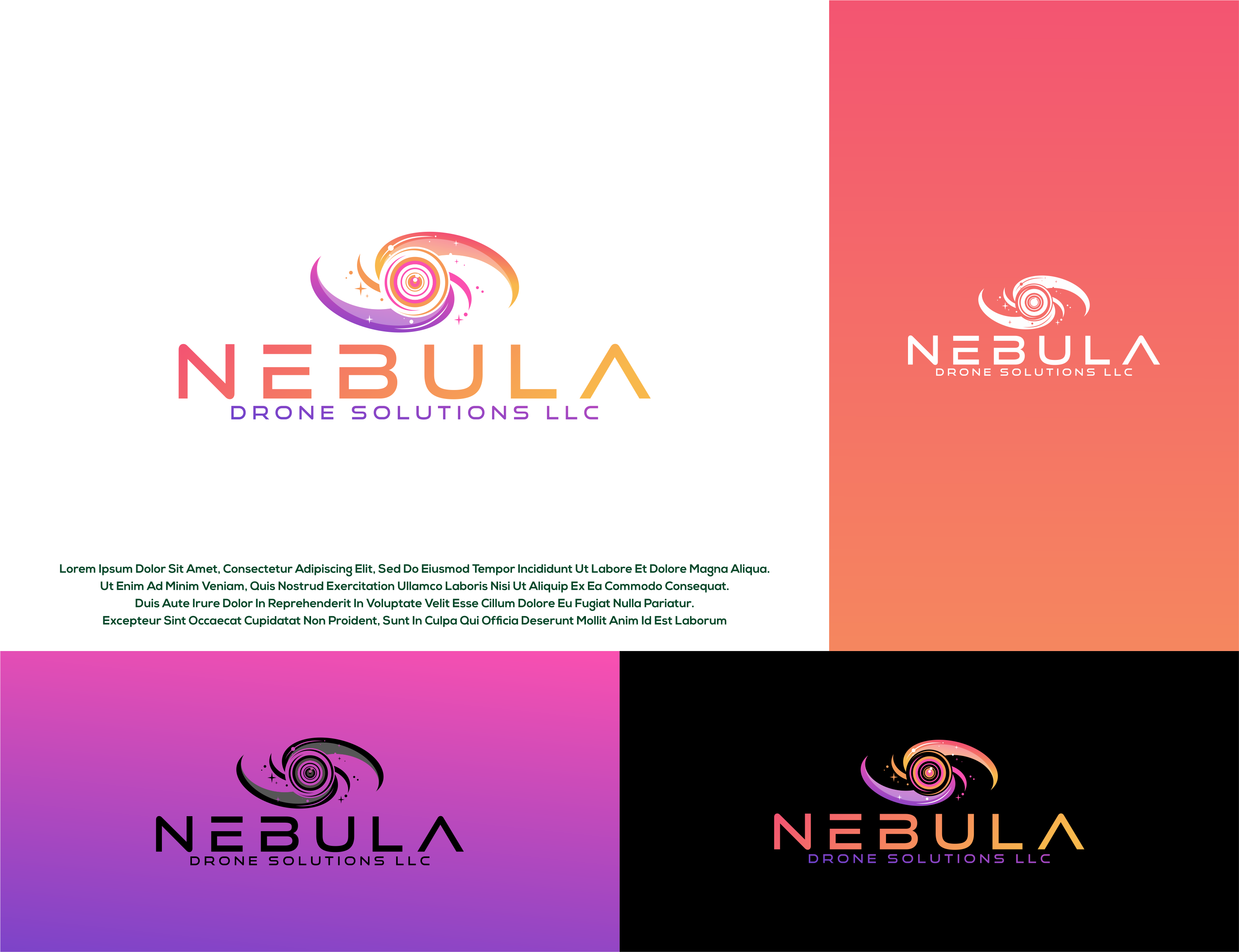 Logo Design by Aditya.DwiRama for LONE STAR DRONE WORX | Design #34999765