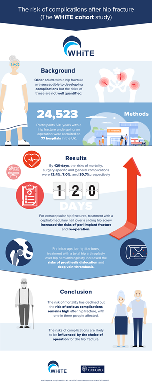 Infografik-Design von Avatargr für dieses Projekt | Design #35023659