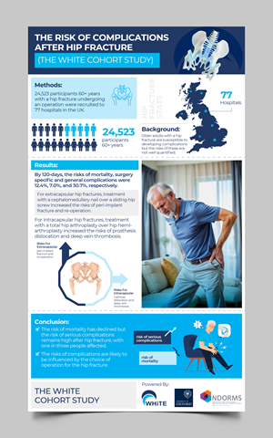Infographic Design by Graphic Guy
