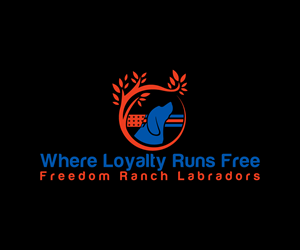 Logo Design by Spark  Design for AmericanK9, LLC | Design: #35010059