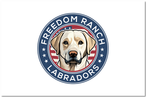 Logo Design by Hanzulla wahid