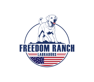 Logo Design by Nova_Create for AmericanK9, LLC | Design: #35006310