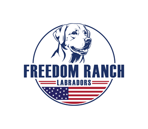 Logo Design by Nova_Create for AmericanK9, LLC | Design: #35006311