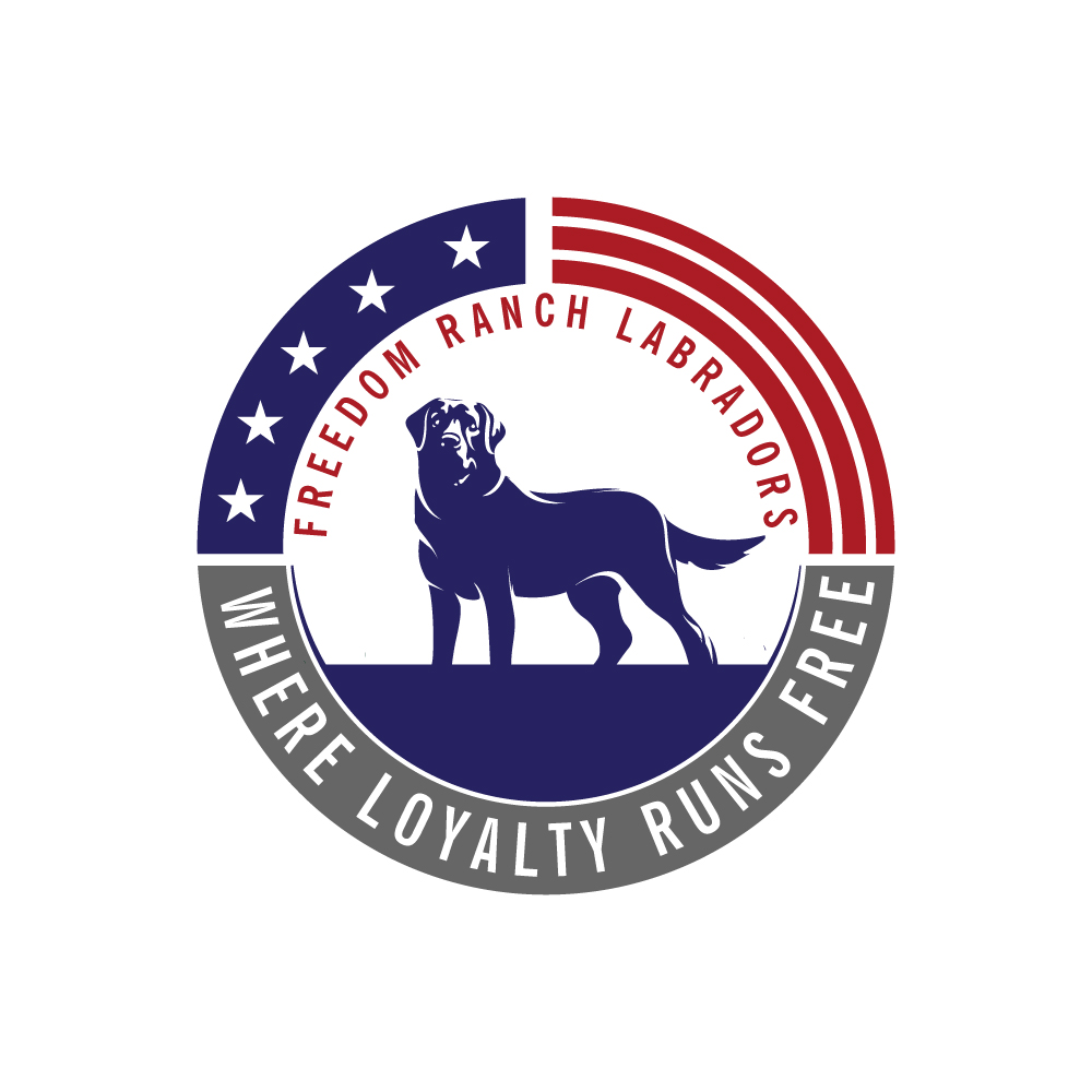 Logo Design by Krold IT Solutions for AmericanK9, LLC | Design #35009656