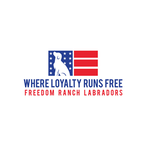 Logo Design by Krold IT Solutions for AmericanK9, LLC | Design: #35009657