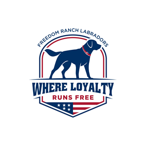 Logo Design by SYKB Art
