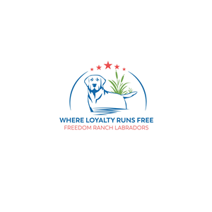 Logo Design by maruf12 for AmericanK9, LLC | Design: #35037413