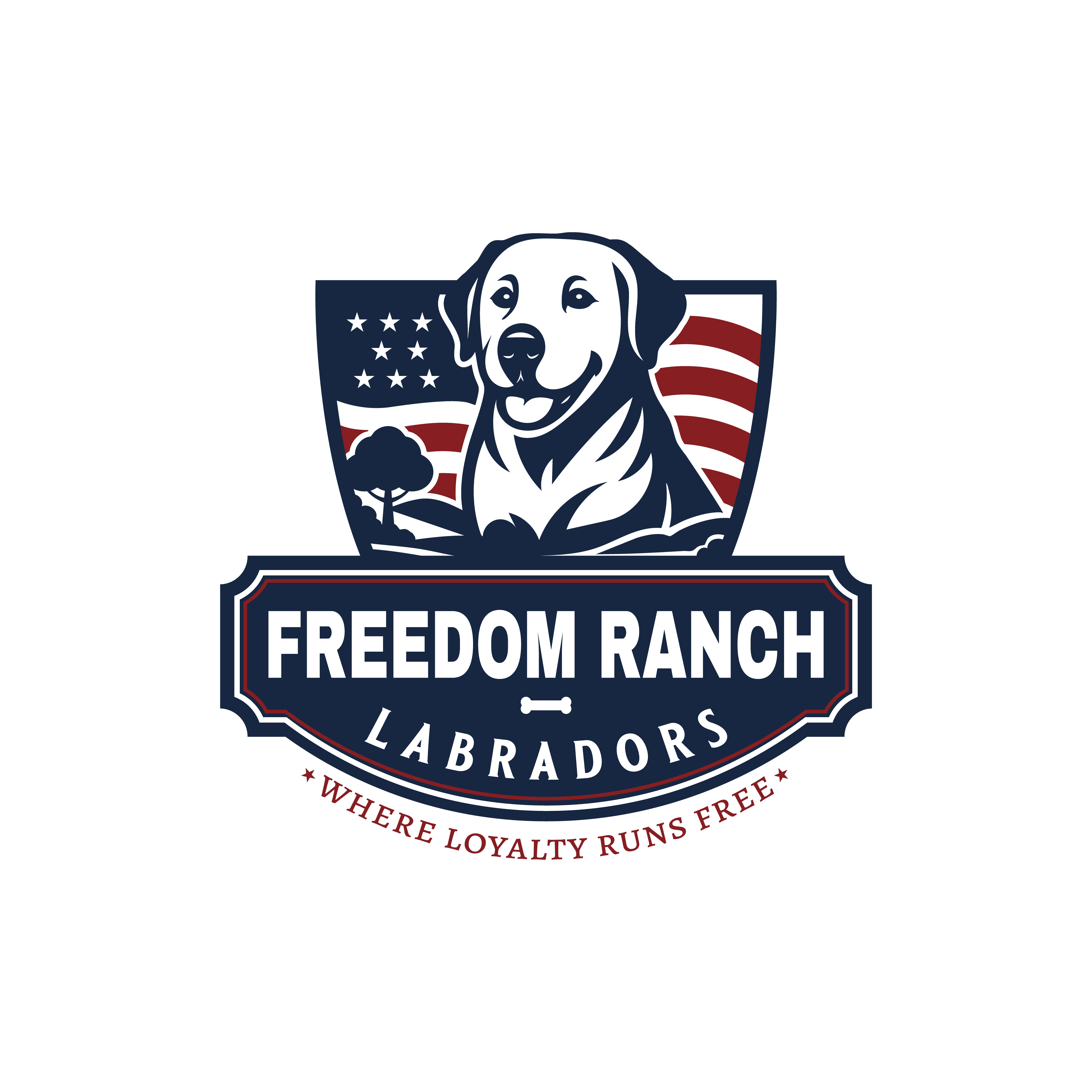 Logo Design by iohanna for AmericanK9, LLC | Design #35023755