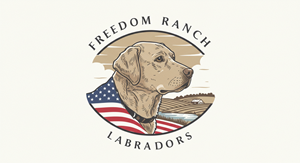 Logo Design by HSL Brain for AmericanK9, LLC | Design: #35013973