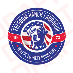 Logo Design by Ian Charles