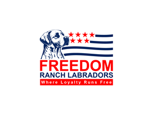 Logo Design by Owltive for AmericanK9, LLC | Design: #35013657