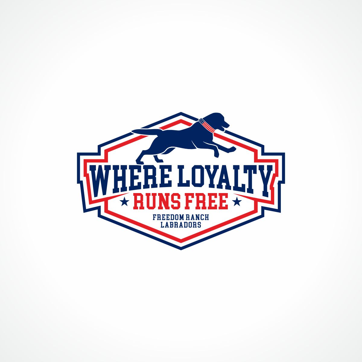 Logo-Design von Magic of Art für AmericanK9, LLC | Design #35014461