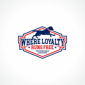 Logo Design by Magic of Art for AmericanK9, LLC | Design: #35014461