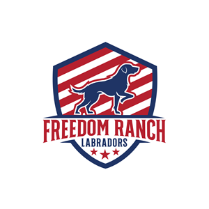 Logo-Design von ares_h1 für AmericanK9, LLC | Design: #35009773