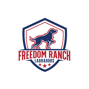 Logo Design by ares_h1 for AmericanK9, LLC | Design: #35009774