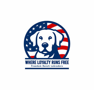 Logo Design by Adi firadika for AmericanK9, LLC | Design #35037908