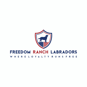 Logo Design by Ashani Bhattacharya for AmericanK9, LLC | Design #35007344