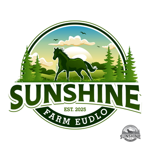 Logo Design by Suvendu.S for Baranga Early Learning Centre | Design: #35041509