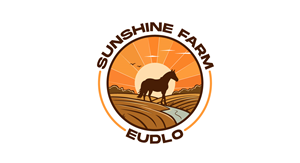 Logo Design by HSL Brain
