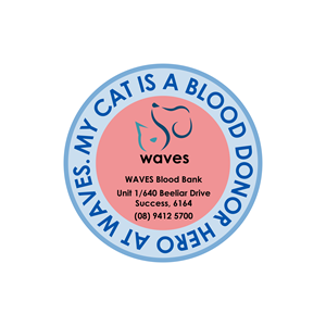 Stationery Design by smsaifkhaled for this project | Design: #35010430