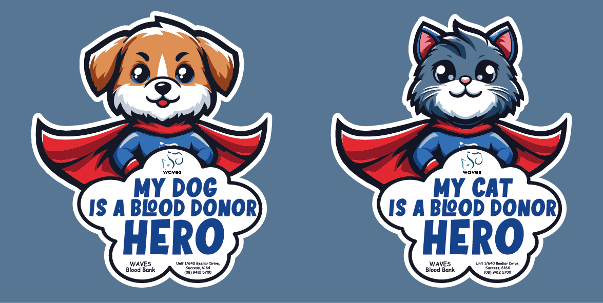 Stationery Design by Kore Branding for this project | Design #35038946