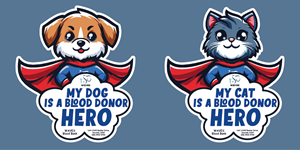 Stationery Design by Kore Branding for this project | Design: #35038946