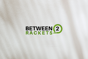 Banner Ad Design by Raton2010 for this project | Design: #35009987