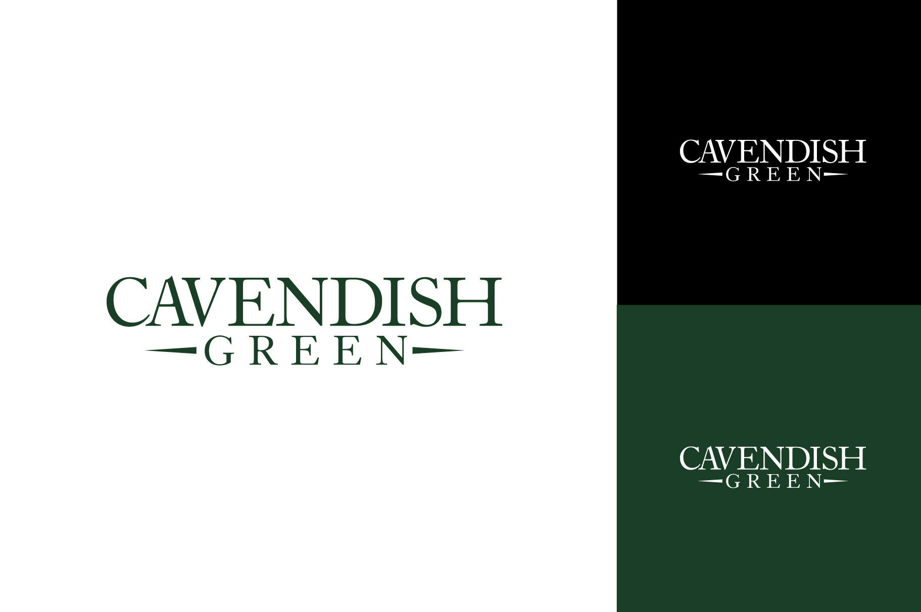 Logo Design by StromDesignHub for this project | Design #35033040
