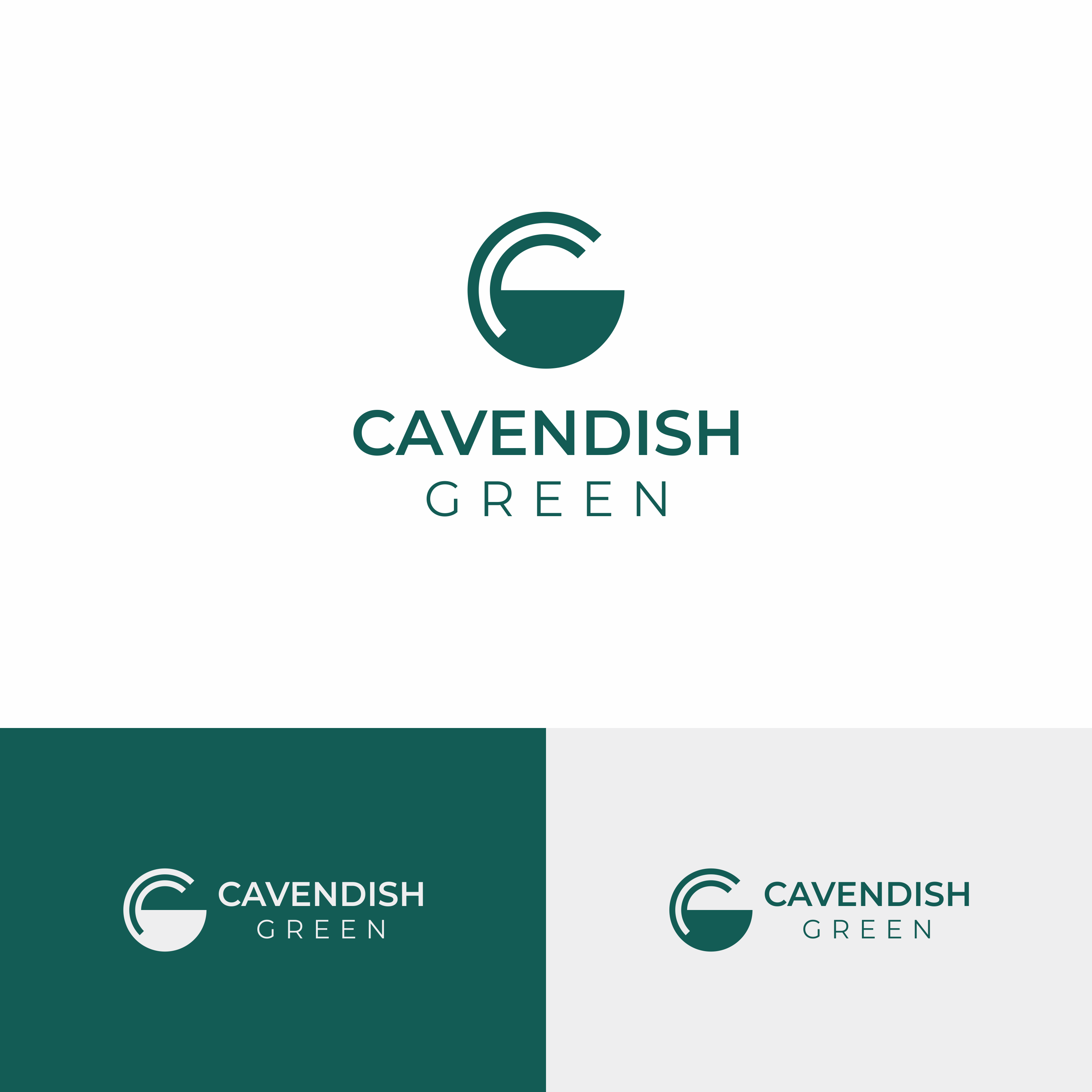 Logo-Design von madrisaldi für dieses Projekt | Design #35021858