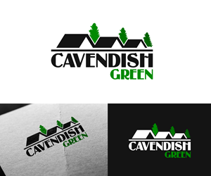 Logo-Design von Ansh Design für dieses Projekt | Design: #35019870